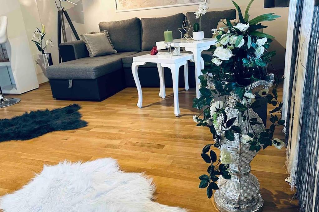 12-Fratelli Apartments Schloss Schonbrunn 10 To City 비엔나 외부 사진