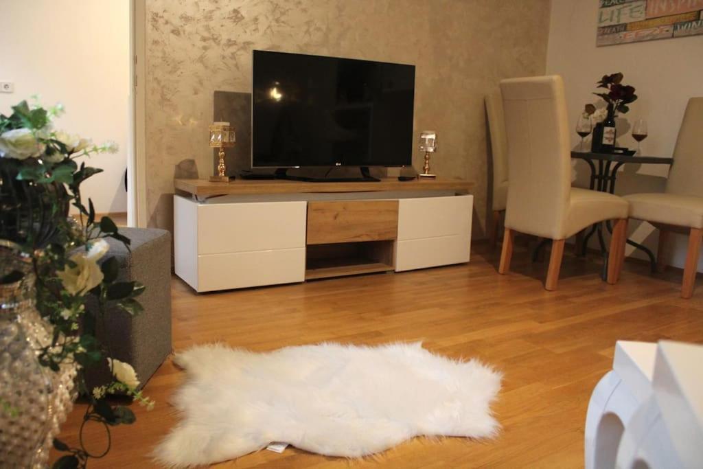 12-Fratelli Apartments Schloss Schonbrunn 10 To City 비엔나 외부 사진