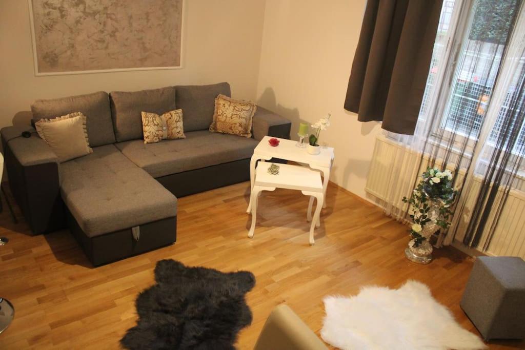 12-Fratelli Apartments Schloss Schonbrunn 10 To City 비엔나 외부 사진