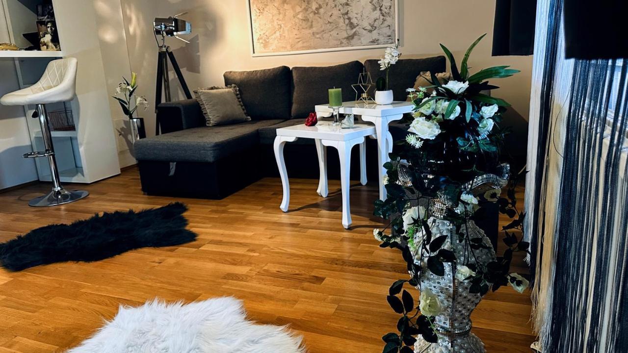 12-Fratelli Apartments Schloss Schonbrunn 10 To City 비엔나 외부 사진
