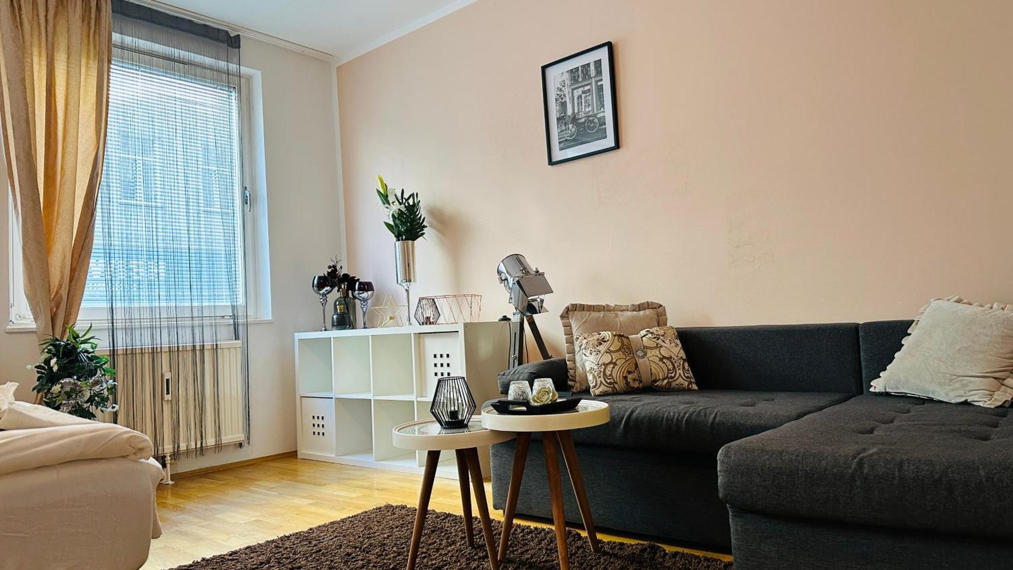 12-Fratelli Apartments Schloss Schonbrunn 10 To City 비엔나 외부 사진